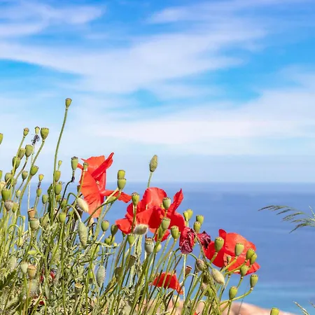 La De Saint Clair à Pied 4* Le Lavandou